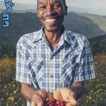 خرید قهوه اتیوپی کافا