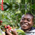 خرید قهوه کنگو