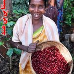 خرید قهوه پی بی