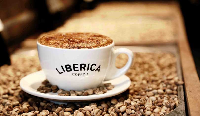 Liberica coffee