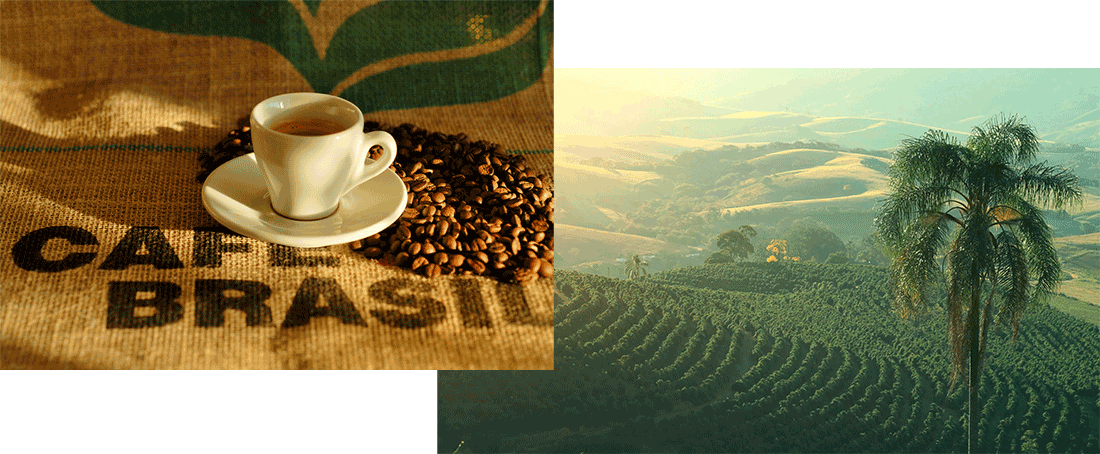 brazilian-coffee قهوه برزیلی