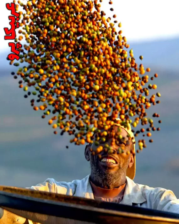خرید قهوه پرو