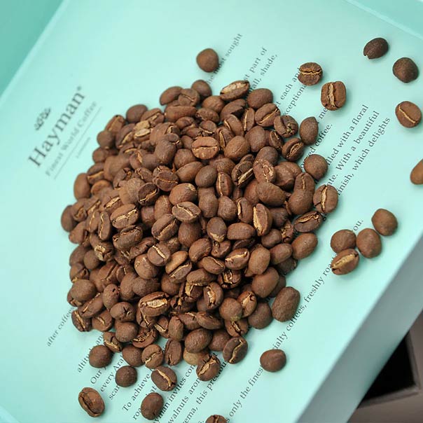 تصویری از دانه‌های قهوه گیشا