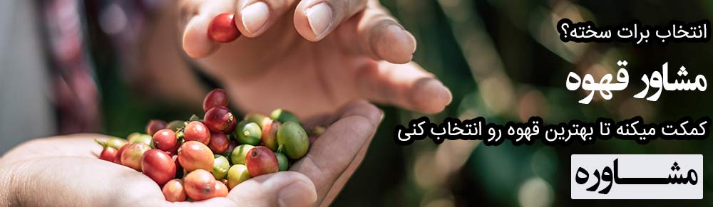 مشاور قهوه
