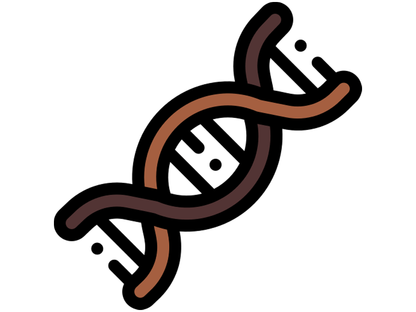 آناتومی-دان-قهوه آناتومی دان قهوه