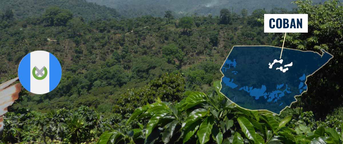 Coban_Coffee_Region_Guatemala Coban_Coffee_Region_Guatemala