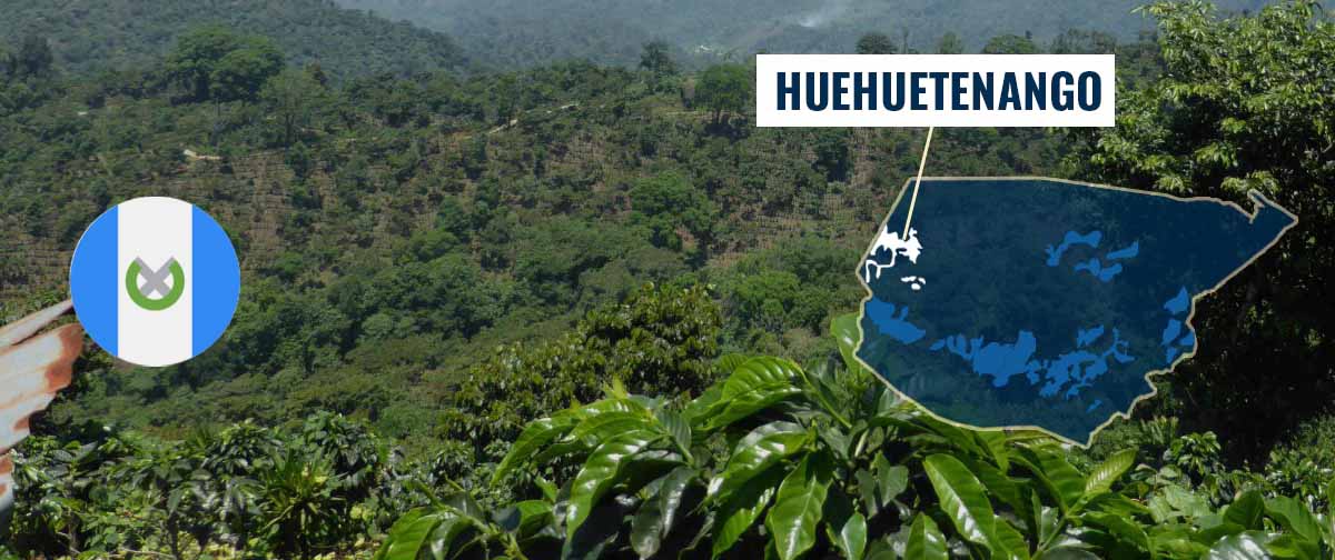 Huehuetenango_Coffee_Region_Guatemala Huehuetenango_Coffee_Region_Guatemala
