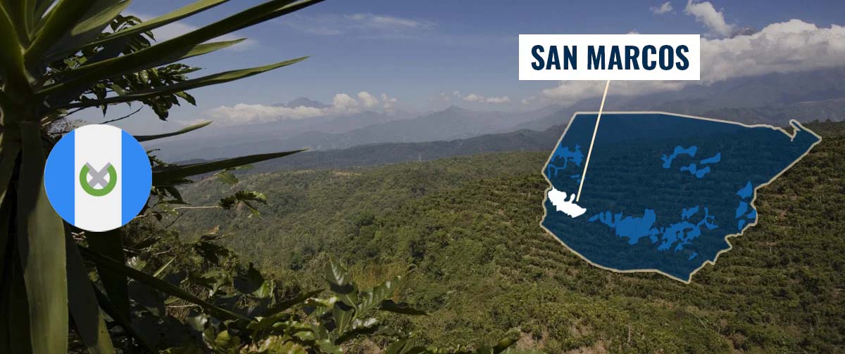 San_Marcos_Coffee_Region_Guatemala San_Marcos_Coffee_Region_Guatemala