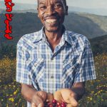 قهوه پرمیوم اتیوپی برشت مدیوم