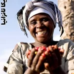 عربیکا تانزانیا