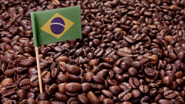 قهوه برزیلی بادی سبک دارد. 