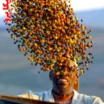 خرید اینترنتی قهوه پرو