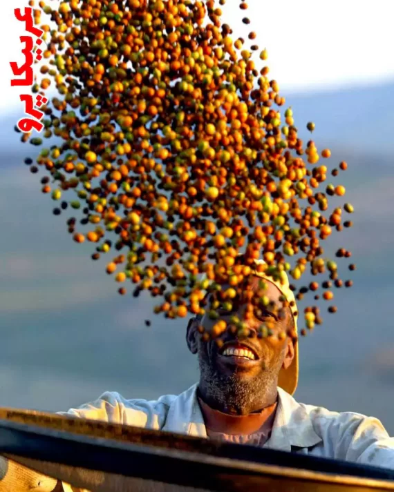 خرید اینترنتی قهوه پرو