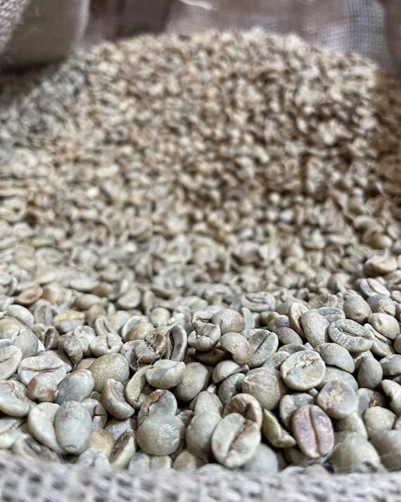 قهوه سبز برزیل