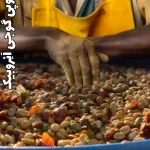 قهوه اتیوپی انِروبیک تازه برشت مدیوم