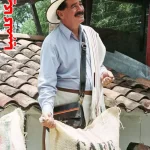 خرید قهوه کلمبیا