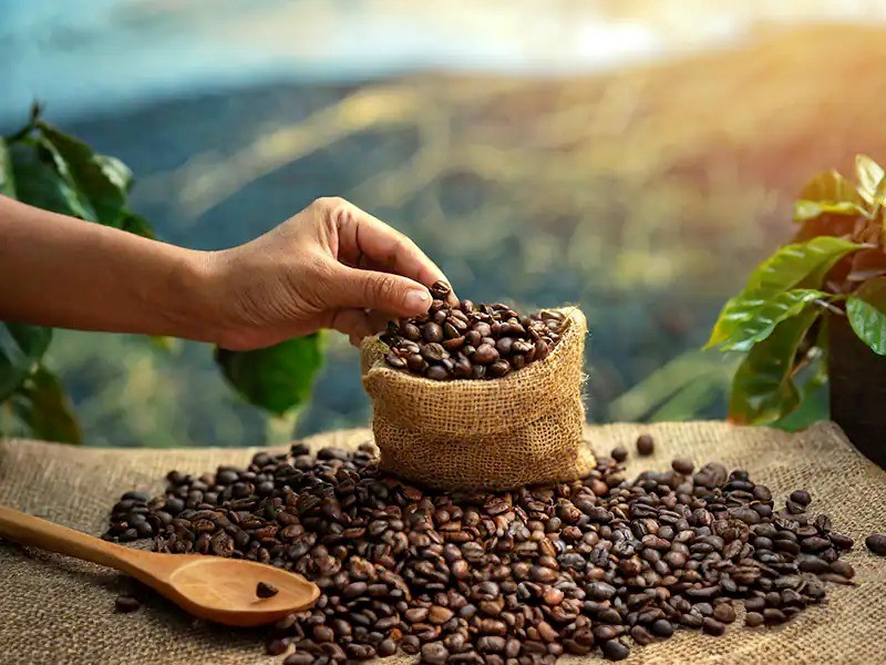 رنگ و سطح دانه چقدر یکنواخت هست؟