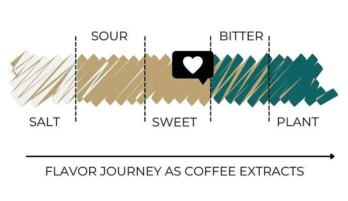 روند تغییر استخراج طعم ها در عصاره گیری قهوه