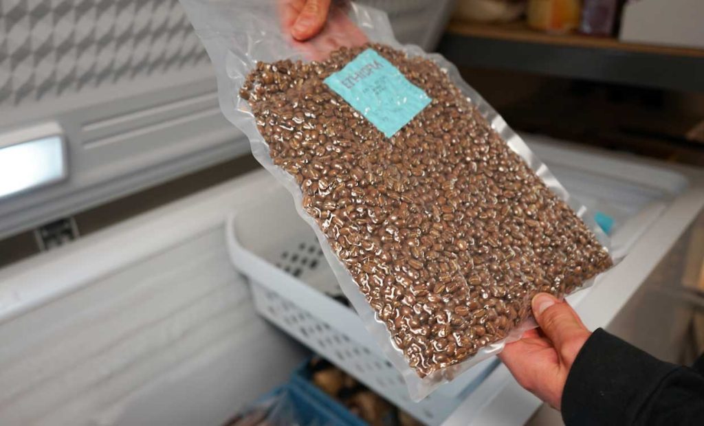 فریز کردن دان قهوه