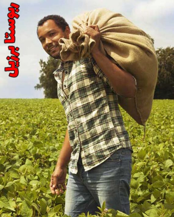 ربوستا برزیل