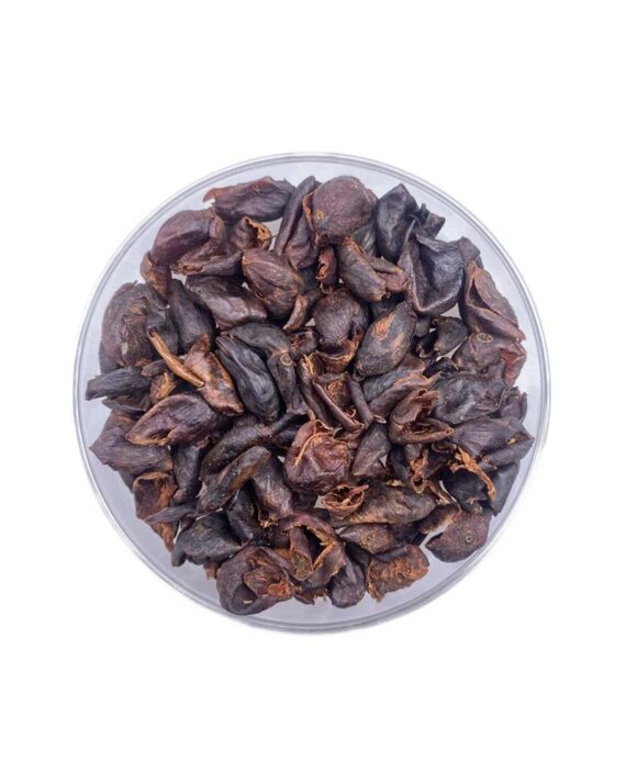 دمنوش میوه قهوه (کاسکارا)