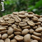 قهوه سبز کلمبیا☘️