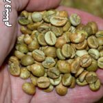 قهوه سبز ویتنام☘️