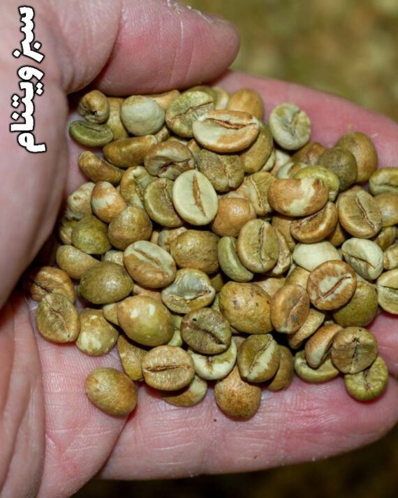 قهوه سبز ویتنام☘️