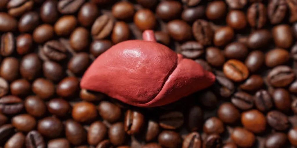تاثیر قهوه در کاهش خطر فیبروز و سیروز کبدی