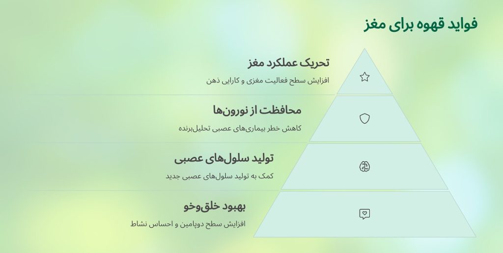 فواید قهوه برای مغز