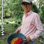 قهوه کلمبیا اسپشیالیتی هویلا ادواردو