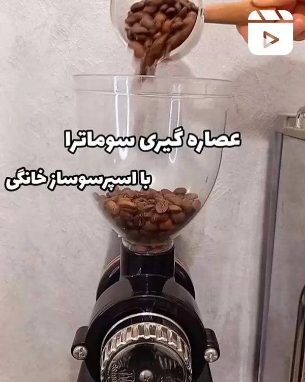 عصاره گیر سوماترا
