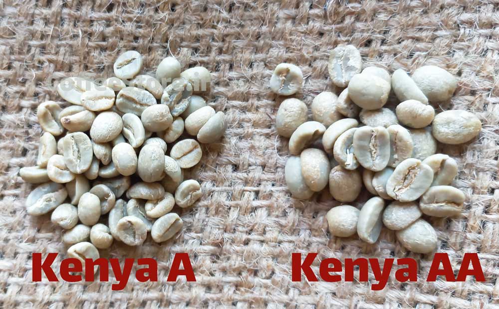 مقایسه قهوه کنیا