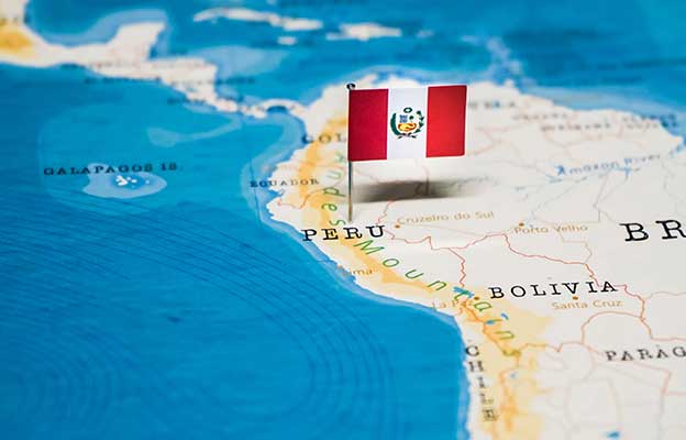 ویژگی های قهوه پرو دی کف ملایم تیره برشت