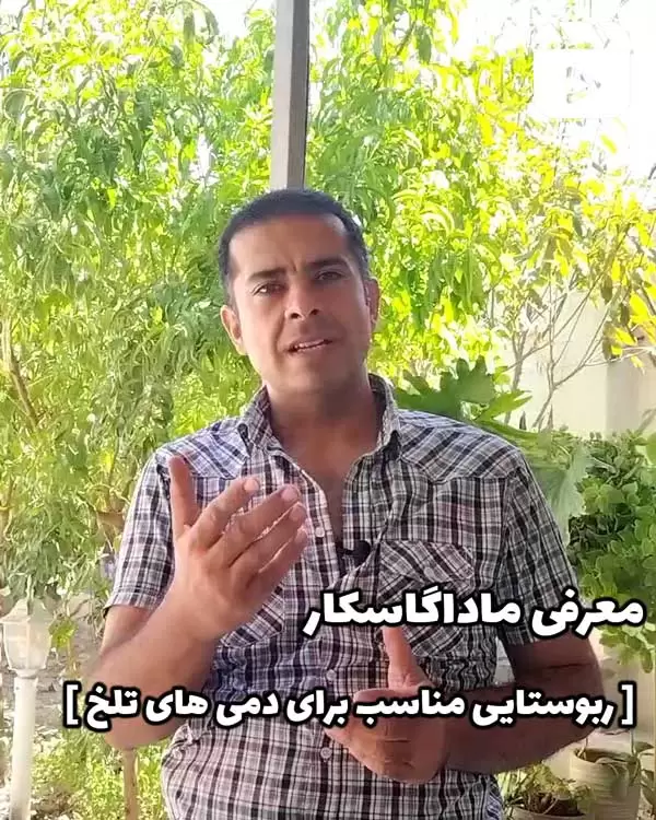 معرفی ماداگاسکار