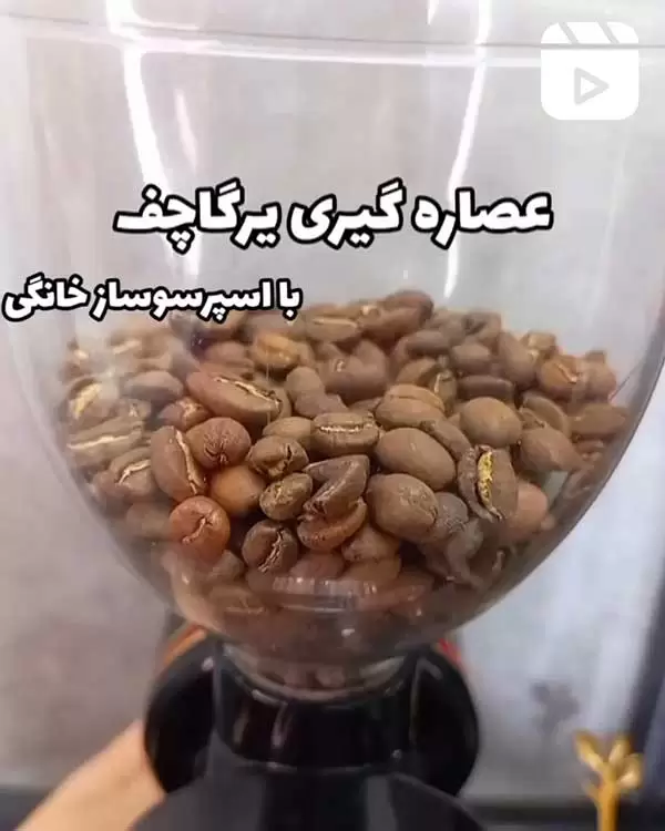 عصاره گیری یرگاچف