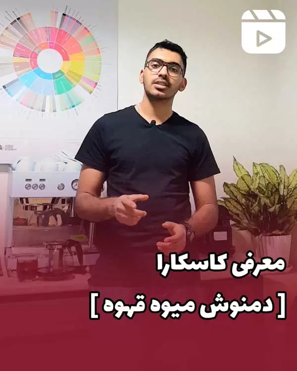 معرفی کاسکارا