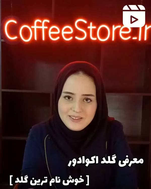 معرفی گلد اکوادور