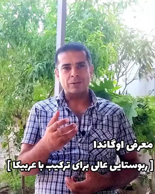 معرفی اوگاندا