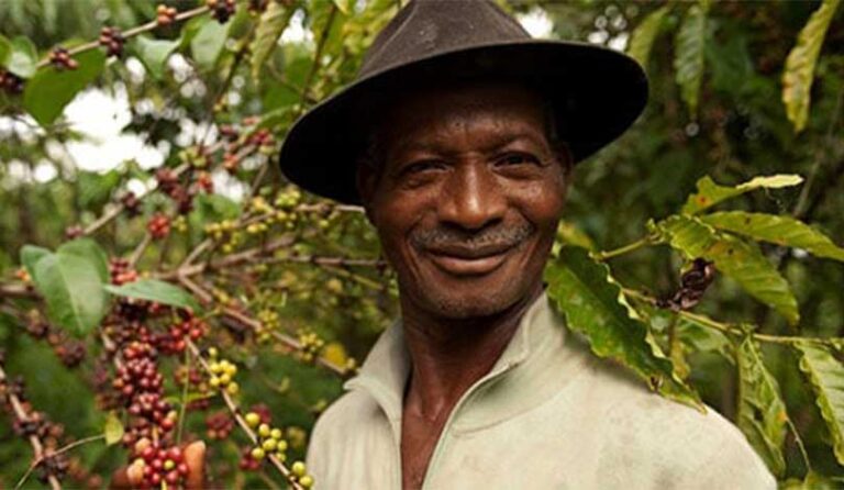 پراور (Pour Over)