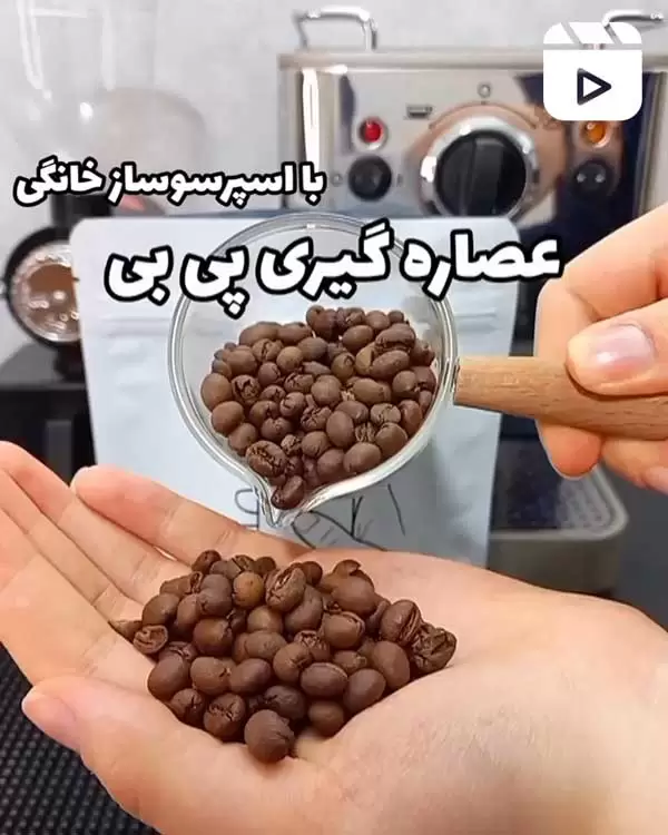 عصاره گیری پی بی