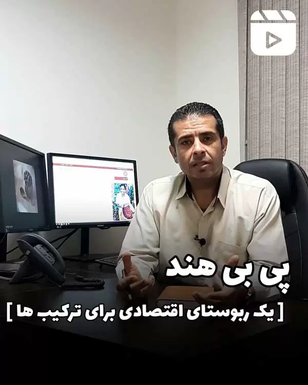 پی بی هند