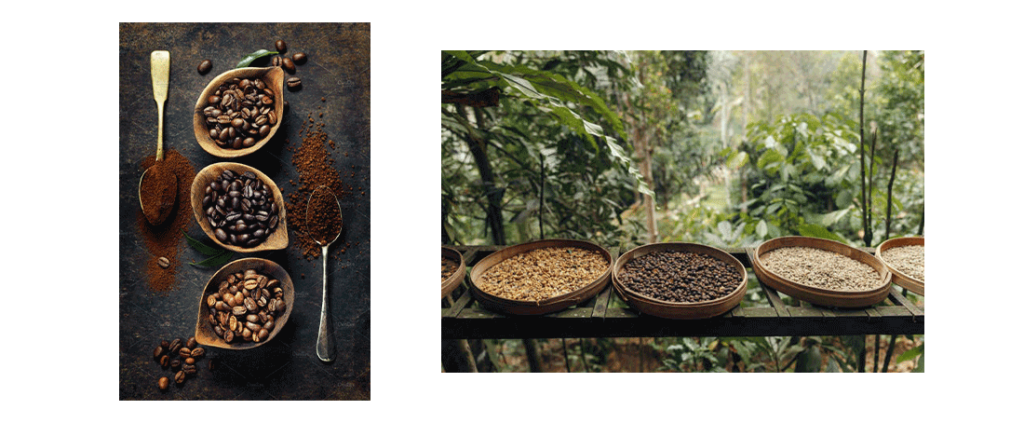 قهوه اندونزی