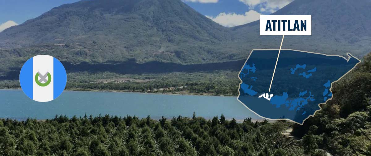 Atitlan خرید قهوه گواتمالا