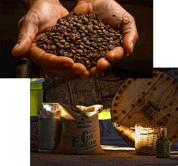 تفاوت‌ های قهوه برزیل