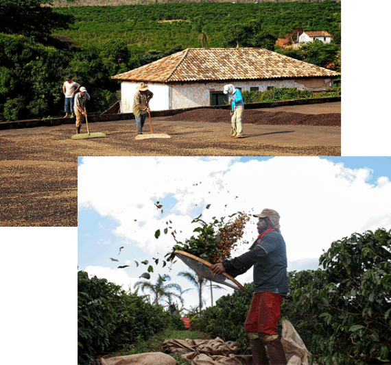 روش های فرآوری و پروسس