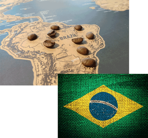 قیمت و کیفیت قهوه برزیلی