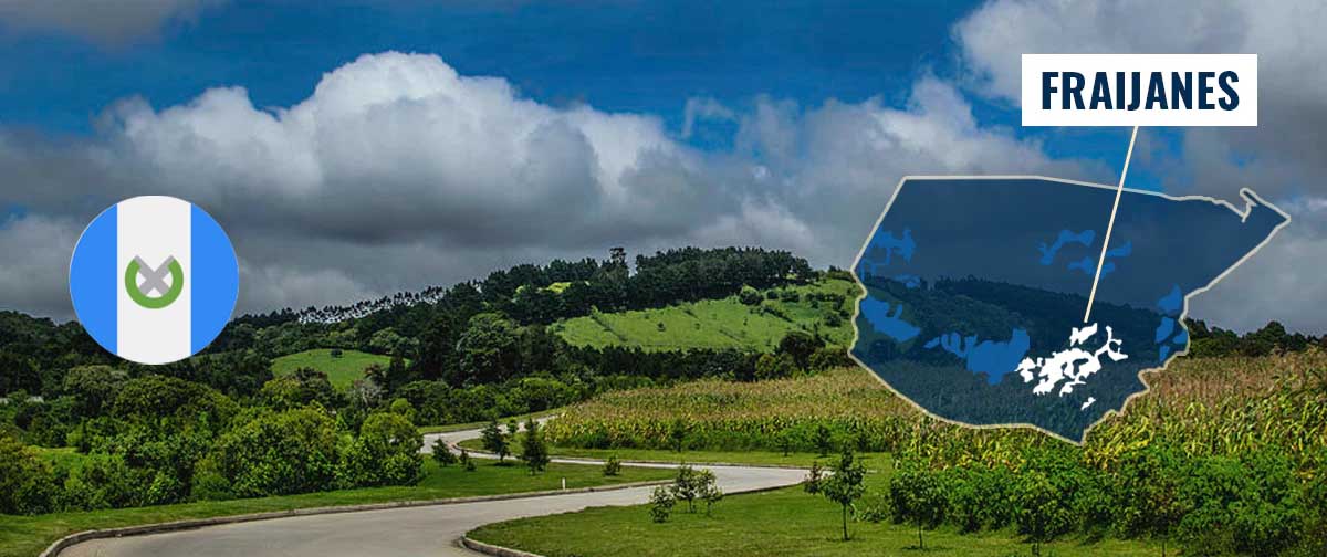 Fraijanes خرید قهوه گواتمالا