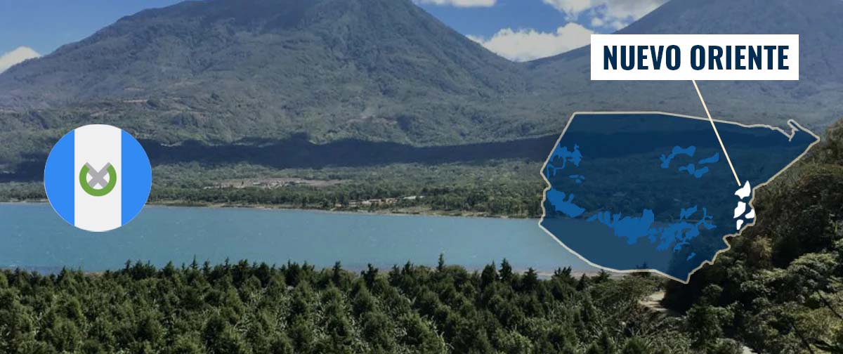 Nuevo خرید قهوه گواتمالا