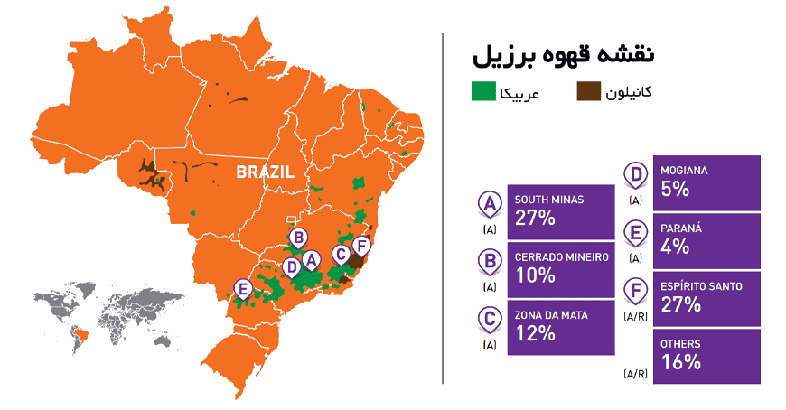 نقشه قهوه برزیل